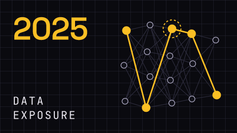 cisonews.ai incident figure: Data exposure, 2025-01-30